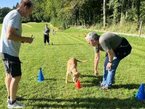 IMG_2367 k.JPG