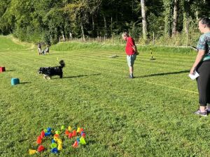 IMG_2399 k.JPG